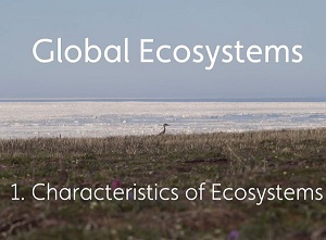 Global Ecosystems