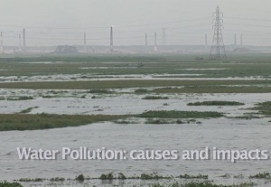 Water Pollution, Causes and Impacts