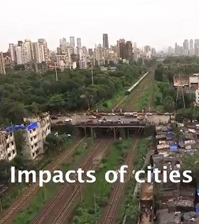 Impacts of Cities