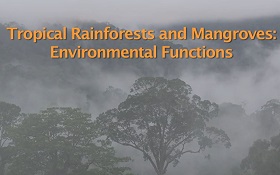 Tropical Rainforests and Mangroves : Environmental Functions