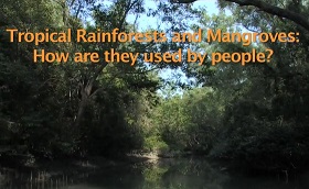 Tropical Rainforests and Mangroves : How Are They Used By People?