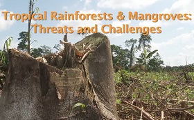 Tropical Rainforests and Mangroves : Threats and Challenges
