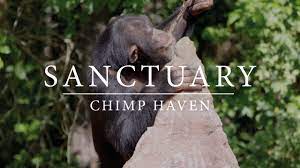 Chimp Haven : Sanctuary