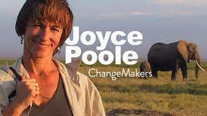 Joyce Poole, Elephant Biologist & Elephant Communication : ChangeMakers