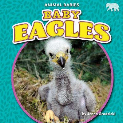 Baby eagles