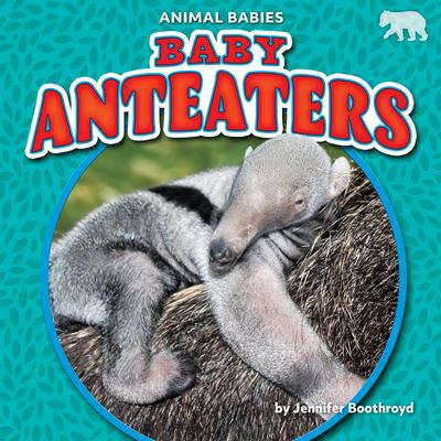 Baby anteaters