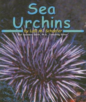 Sea urchins