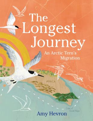 The longest journey : an Arctic tern's migration