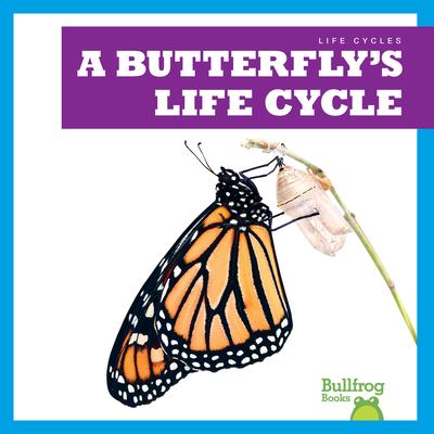 A butterfly's life cycle