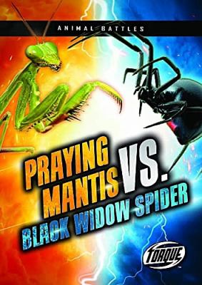 Praying mantis vs. black widow spider