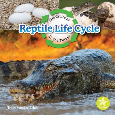 Reptile life cycle