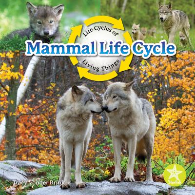 Mammal life cycle