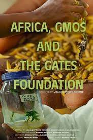 Africa, GMOs, and the Gates Foundation