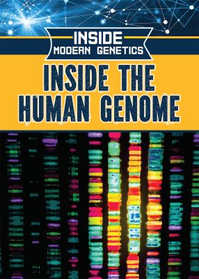 Inside the human genome