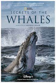 Secrets of the Whales - Episode 4 : Ocean Giants