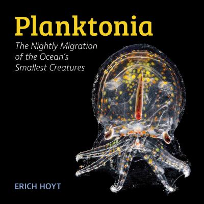 Planktonia : the nightly migration of the ocean's smallest creatures