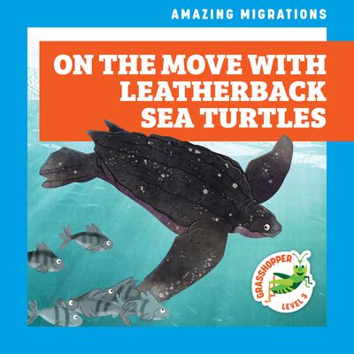 On the move with leatherback sea turtles