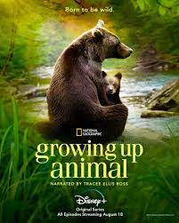 Growing Up Animal : A Baby Chimp's Story