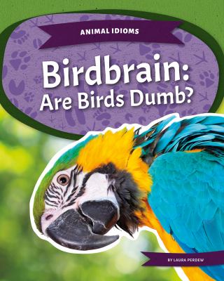 Birdbrain : are birds dumb?