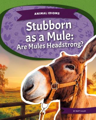 Stubborn as a mule : are mules headstrong?