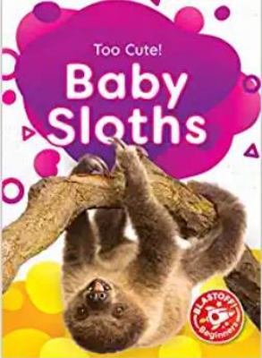 Baby sloths