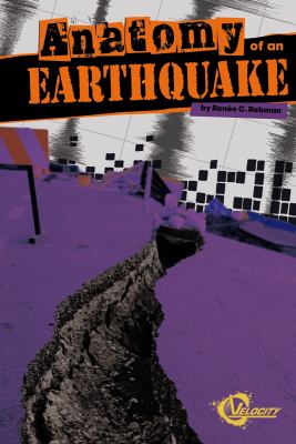 Anatomy of an earthquake