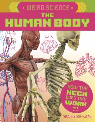 The human body