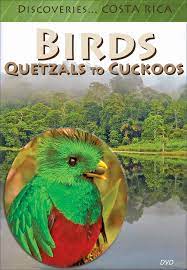 Birds : Quetzals to Cuckoos