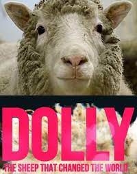 Dolly : The Sheep That Changed the World