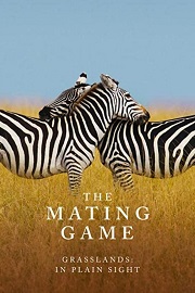 The Mating Game. 1, Grasslands: In Plain Sight
