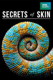 Secrets of Skin. 5, Defence