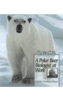 A polar bear biologist at work