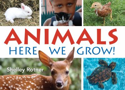 Animals : here we grow!