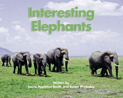 Interesting elephants