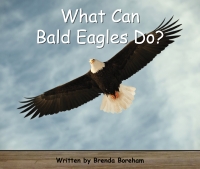 What can bald eagles do?
