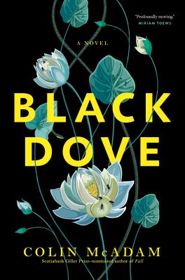 Black dove : a novel