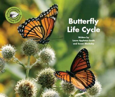 Butterfly life cycle