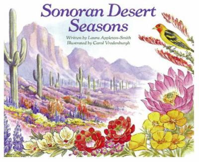 Sonoran desert seasons