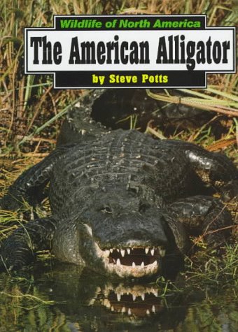 The American alligator