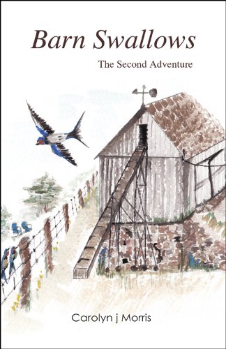 Barn swallows : the second adventure