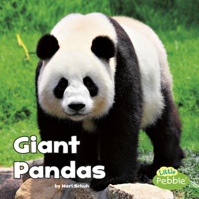 Giant pandas