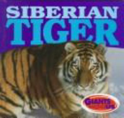 Siberian tiger