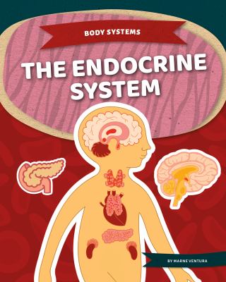 The endocrine system