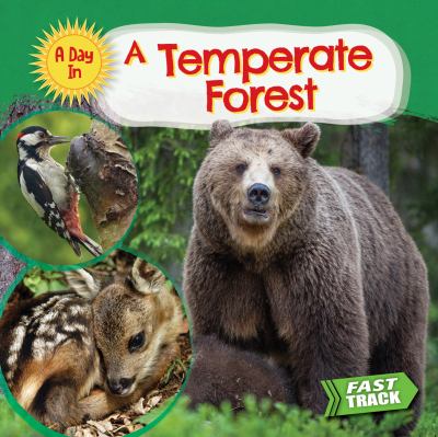 A temperate forest