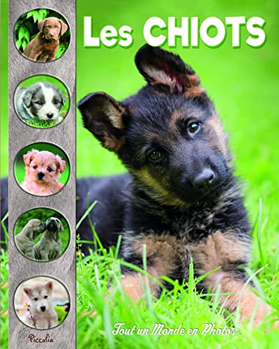 Les chiots