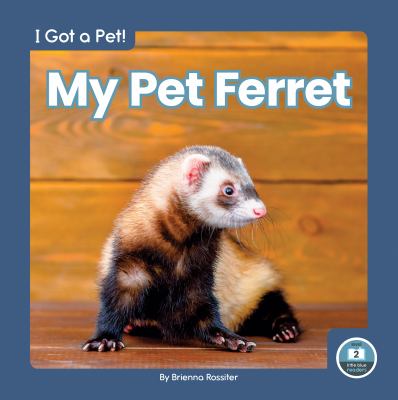 My pet ferret