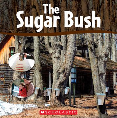 The sugar bush