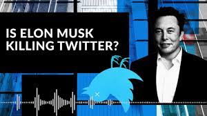 Is Elon Musk Killing Twitter? : A Debate
