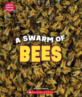 A swarm of bees