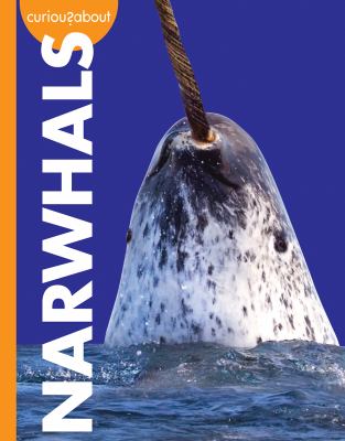 Curious about narwhals